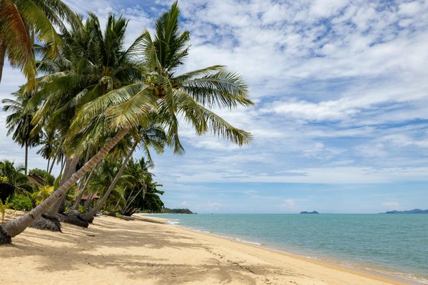 Uncovering Windsor"s Royal Heritage: A Journey Through the Historical Impact of the British Monarchy