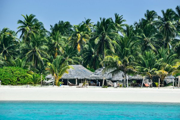 Embark on an unforgettable uk cruise: explore iconic british botanical gardens with comprehensive guided tours